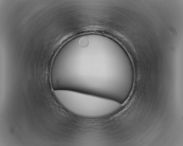 X0000113341313200909150957