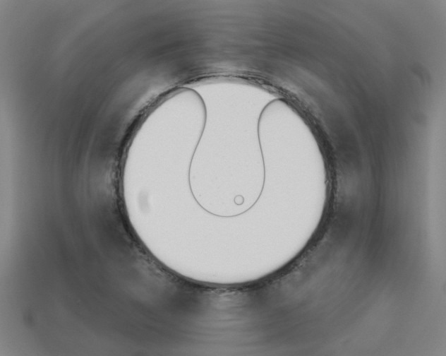 X0000113341314200909150957