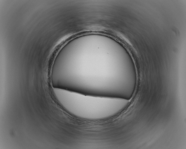 X0000113341315200909150957