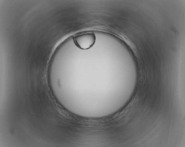 X0000113341316200909150957