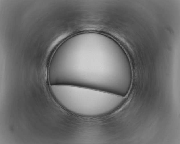 X0000113341317200909150957
