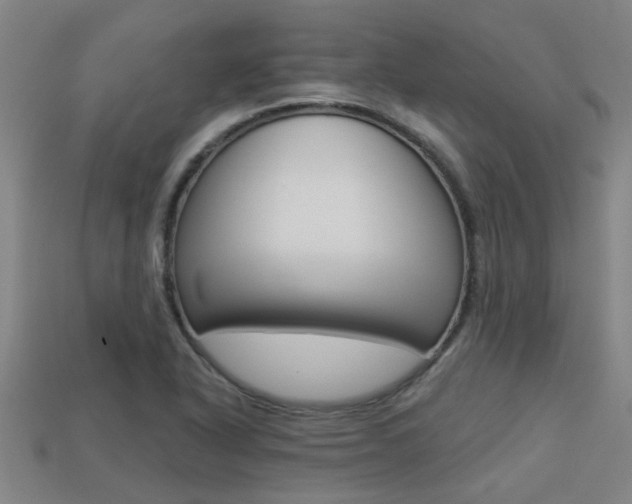 X0000113341318200909150957