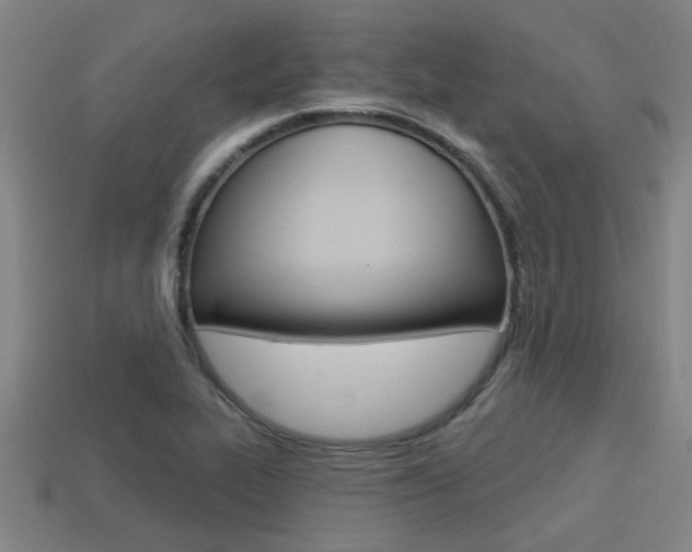 X0000113341319200909150957