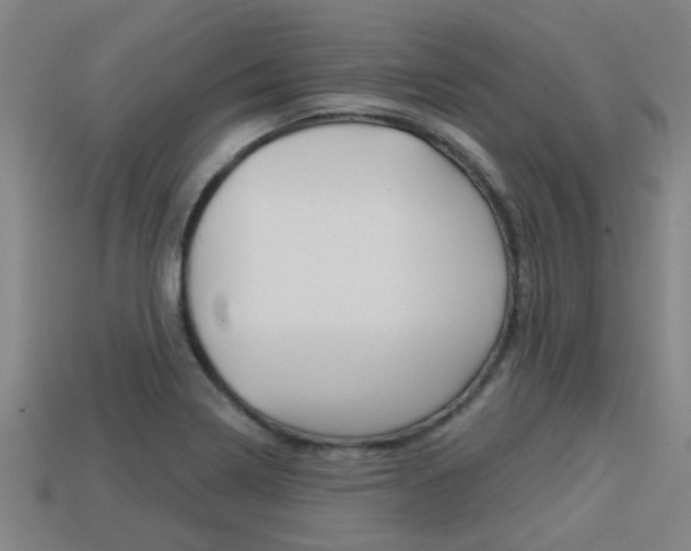 X0000113341322200909150957