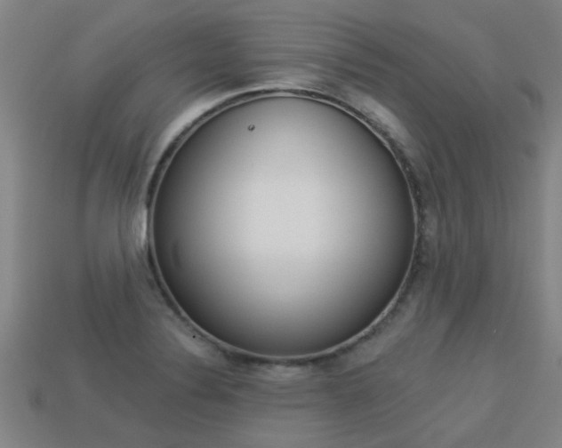 X0000113341324200909150957