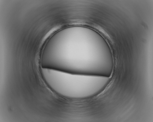 X0000113341325200909150957