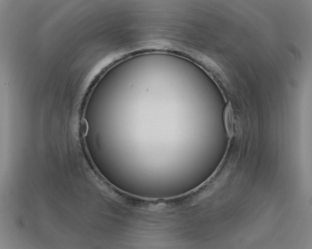 X0000113341326200909150957