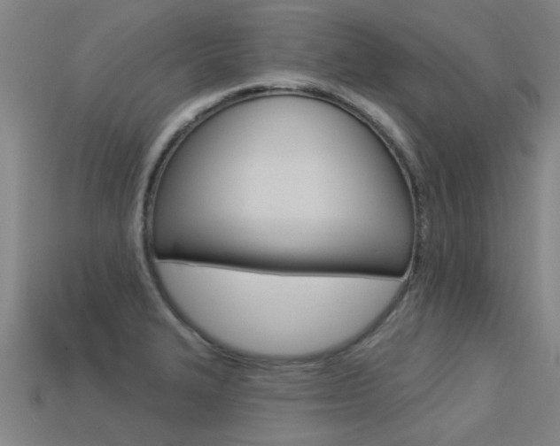 X0000113341327200909150957