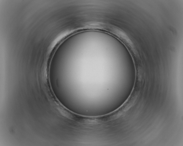 X0000113341328200909150957