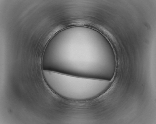 X0000113341329200909150957