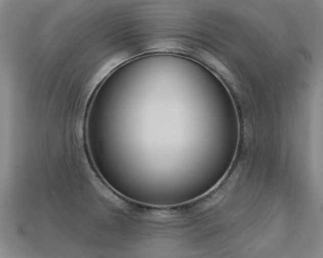 X0000113341330200909150957