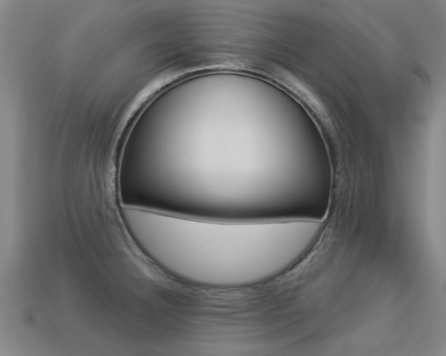 X0000113341332200909150957
