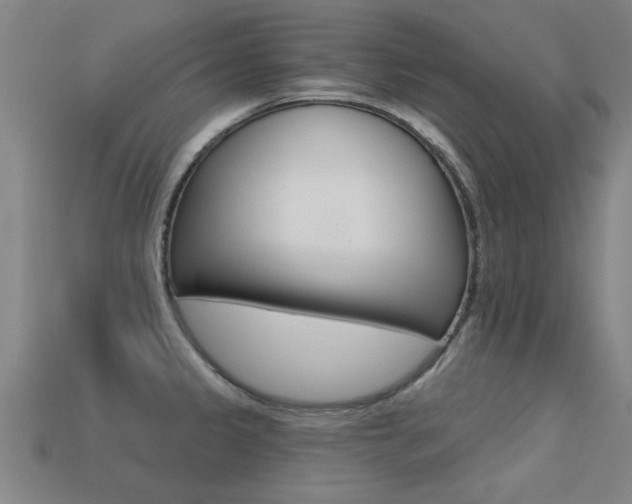 X0000113341333200909150957