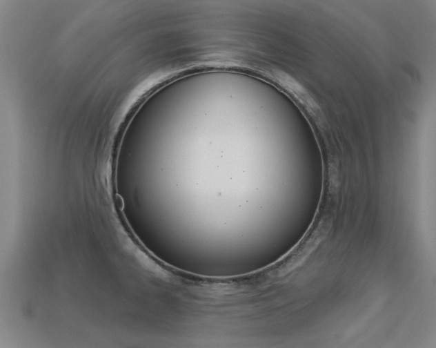 X0000113341334200909150957