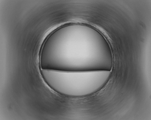 X0000113341335200909150957
