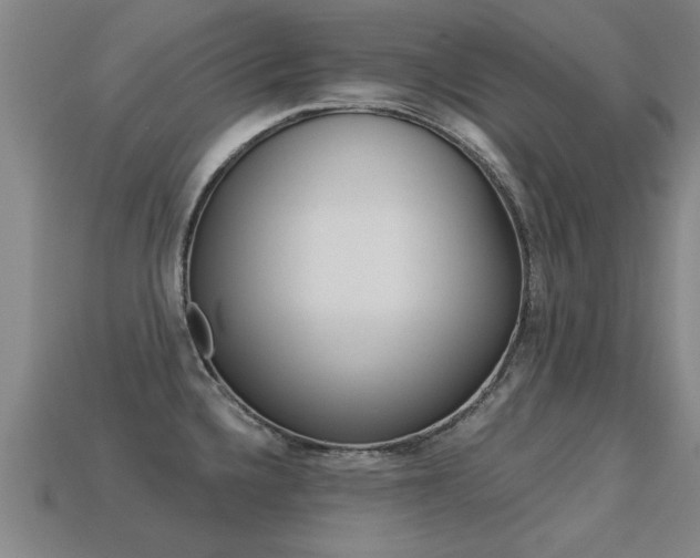 X0000113341336200909150957