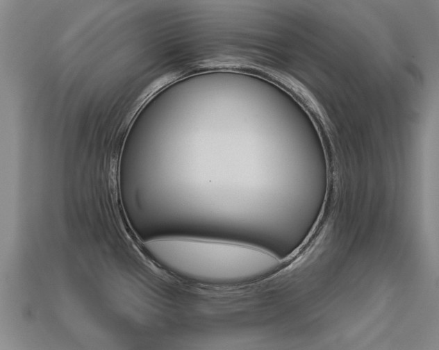 X0000113341337200909150957