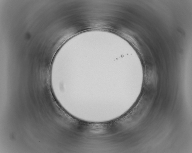 X0000113341338200909150957