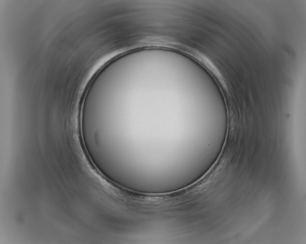 X0000113341339200909150957