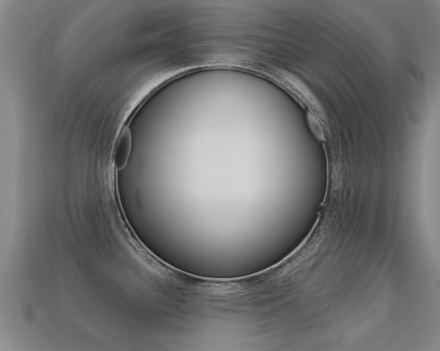 X0000113341340200909150957