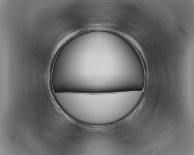 X0000113341341200909150957