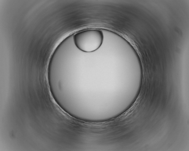X0000113341342200909150957