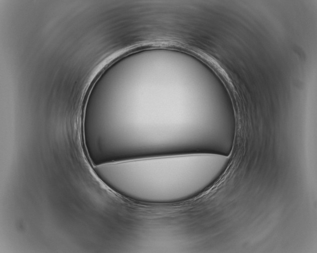 X0000113341343200909150957
