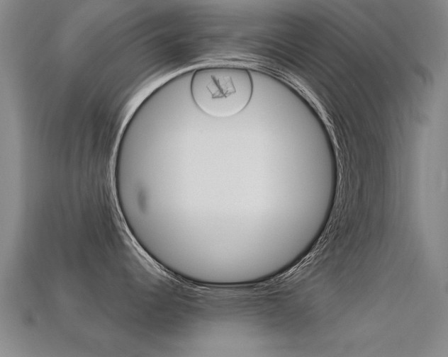 X0000113341344200909150957