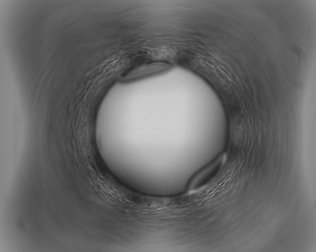 X0000113341345200909150957