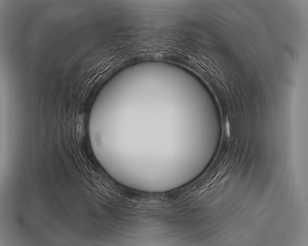 X0000113341347200909150957