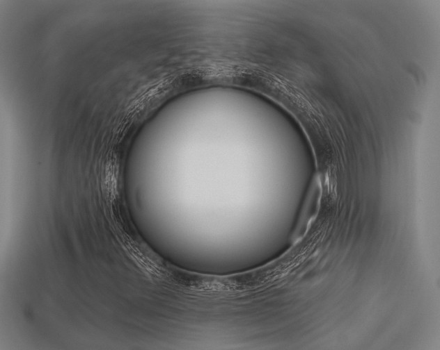 X0000113341348200909150957