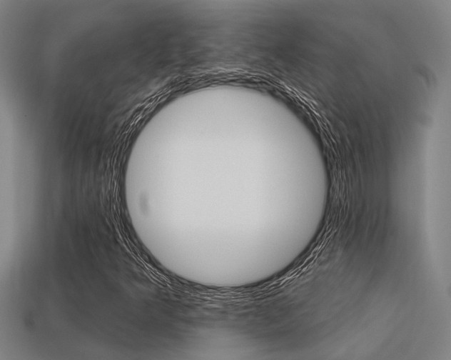 X0000113341349200909150957