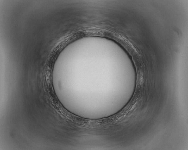 X0000113341350200909150957