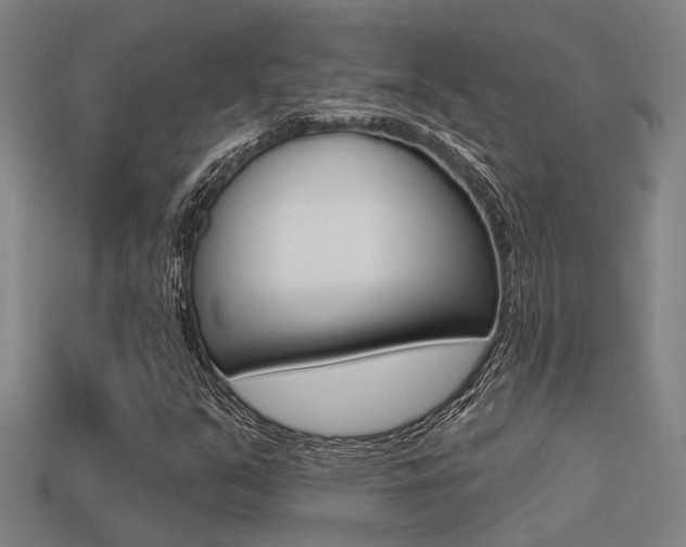 X0000113341351200909150957