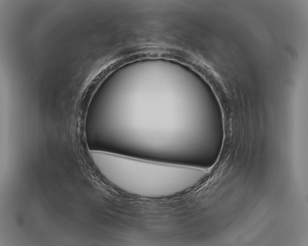 X0000113341352200909150957