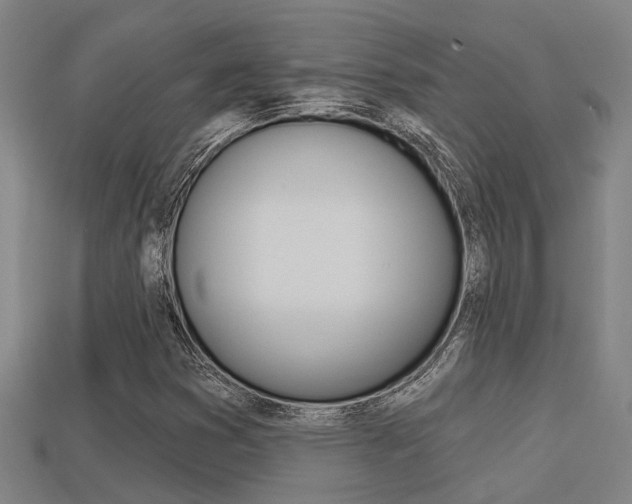 X0000113341353200909150957