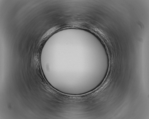 X0000113341354200909150957