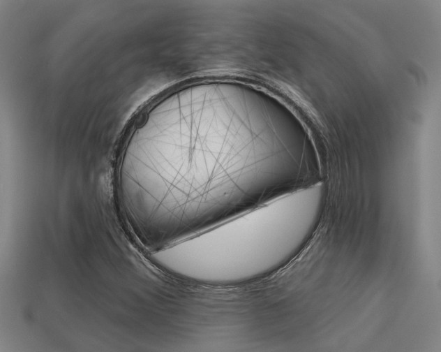 X0000113341356200909150957