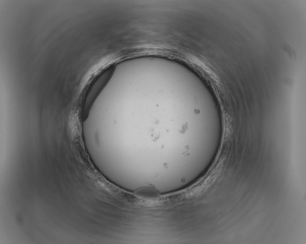 X0000113341357200909150957