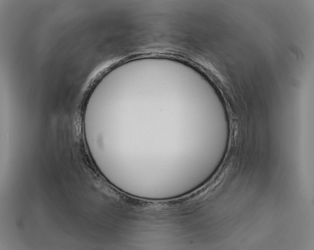 X0000113341358200909150957