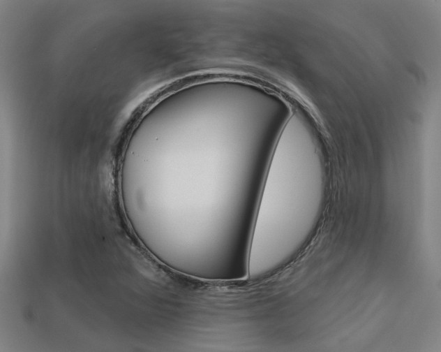 X0000113341360200909150957