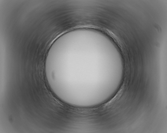 X0000113341361200909150957