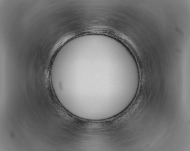 X0000113341362200909150957