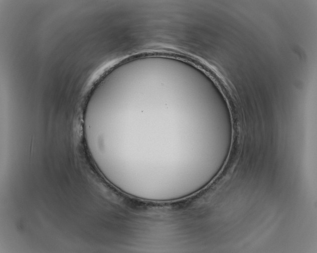 X0000113341363200909150957