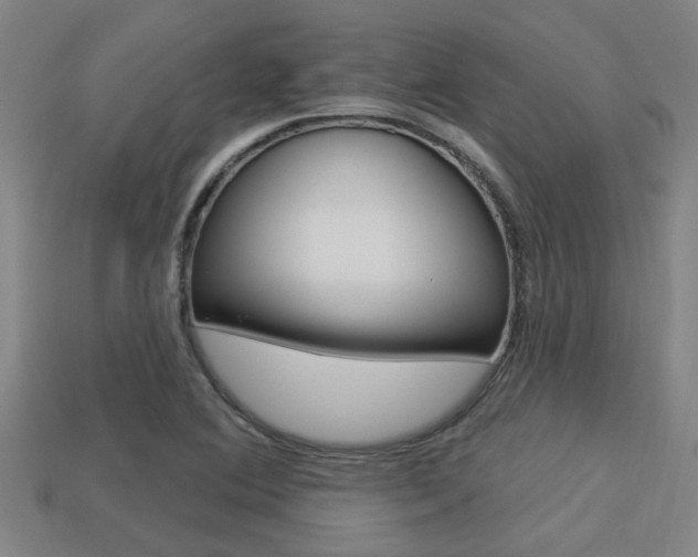 X0000113341364200909150957