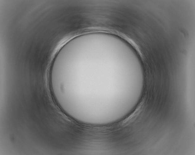 X0000113341365200909150957