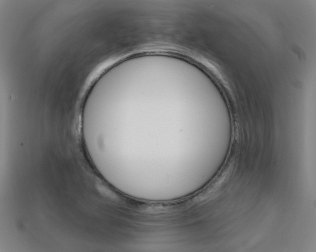 X0000113341366200909150956
