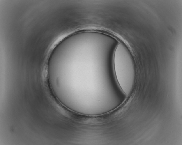 X0000113341367200909150956