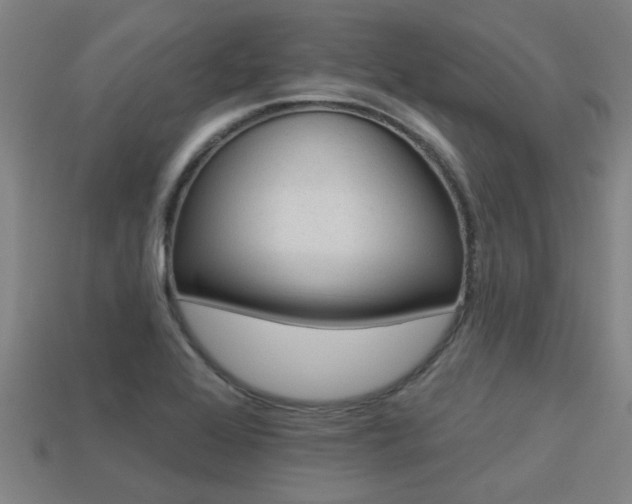 X0000113341368200909150956