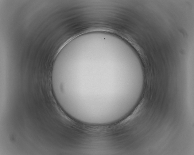 X0000113341369200909150956